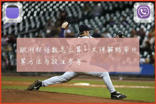 欧洲杯倍数怎么算一文详解赔率计算方法与投注参考