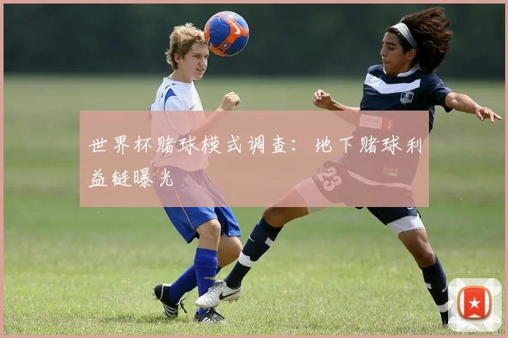 世界杯赌球模式调查:地下赌球利益链曝光