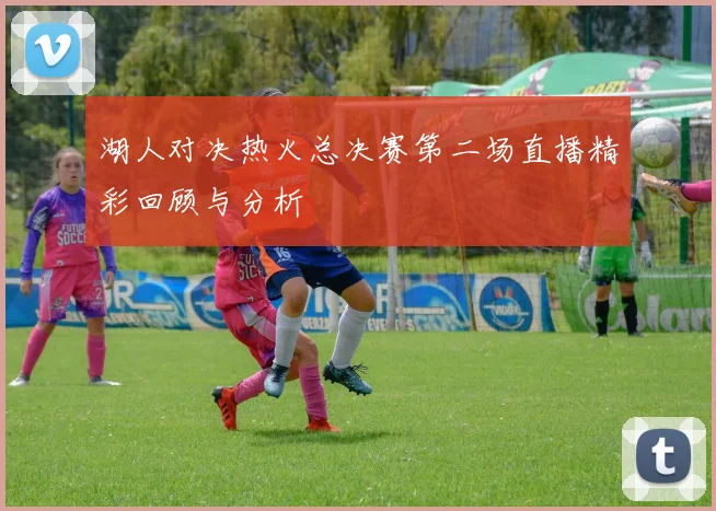 湖人对决热火总决赛第二场直播精彩回顾与分析