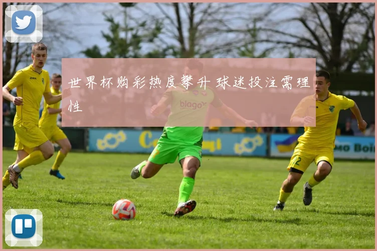 世界杯购彩热度攀升 球迷投注需理性