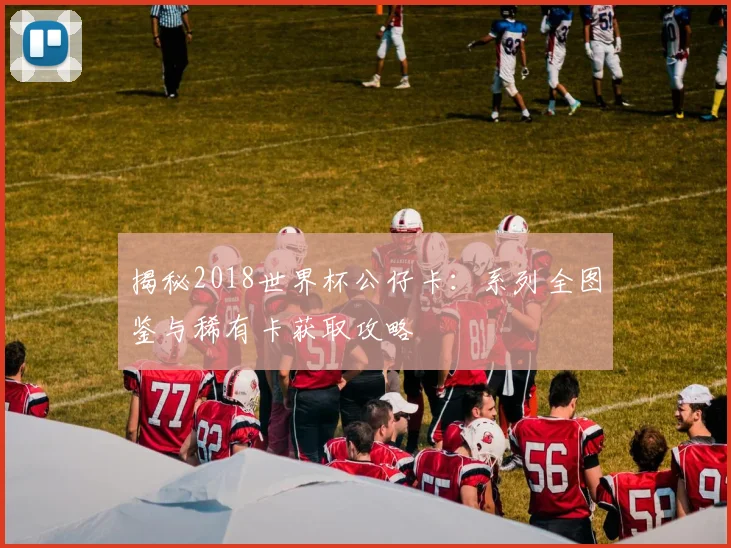 揭秘2018世界杯公仔卡：系列全图鉴与稀有卡获取攻略