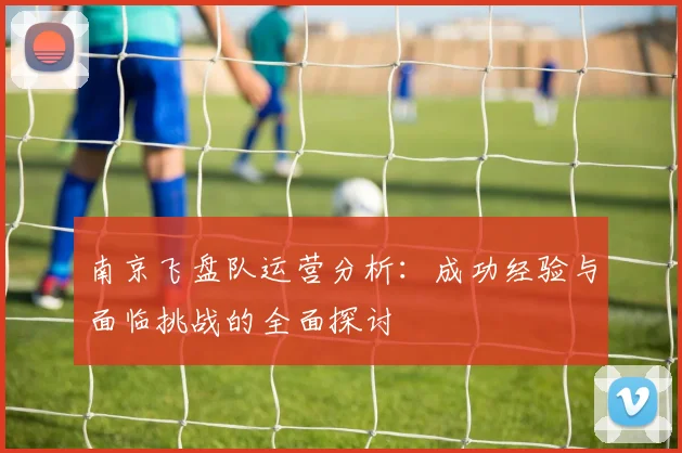 南京飞盘队运营分析：成功经验与面临挑战的全面探讨