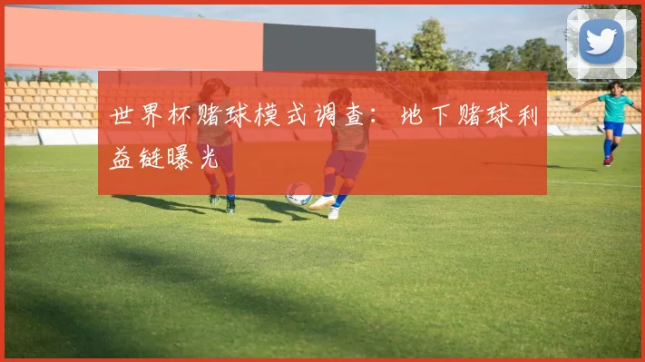 世界杯赌球模式调查：地下赌球利益链曝光
