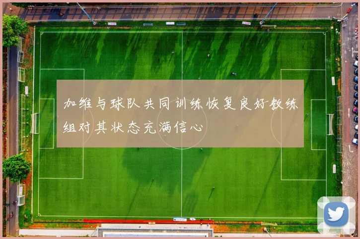 加维与球队共同训练恢复良好教练组对其状态充满信心