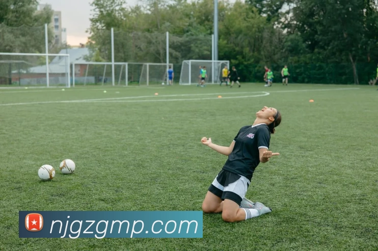 多媒体互动体验